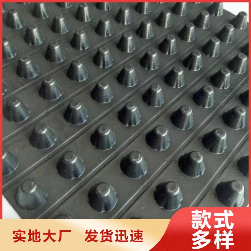 【排水板】双向拉伸塑料格栅规格型号全
