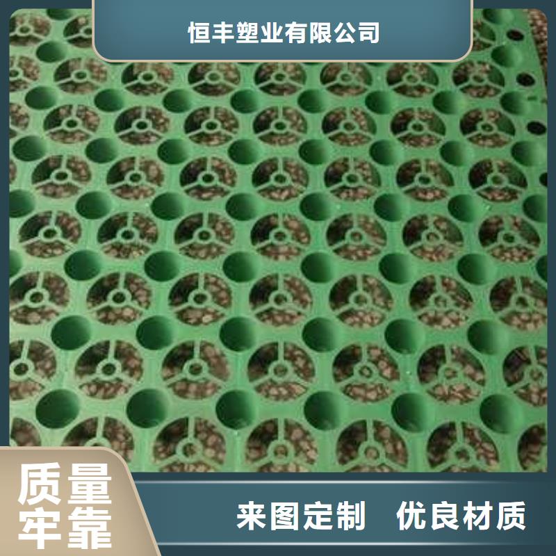【排水板】双向拉伸塑料格栅规格型号全