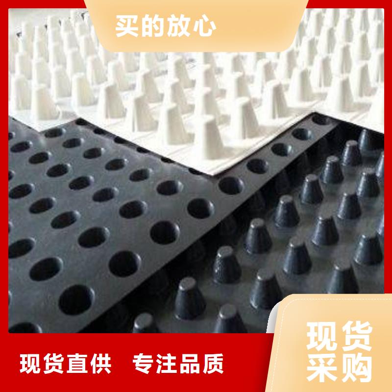 排水板PP焊接土工格栅好货采购