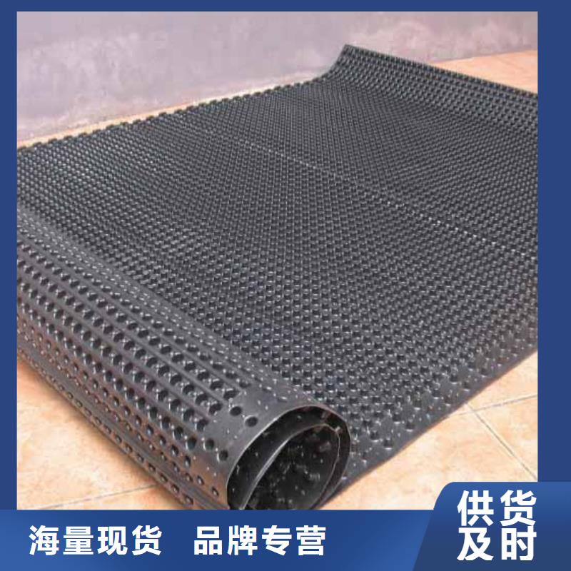 排水板,【TPO防水卷材】价格有优势
