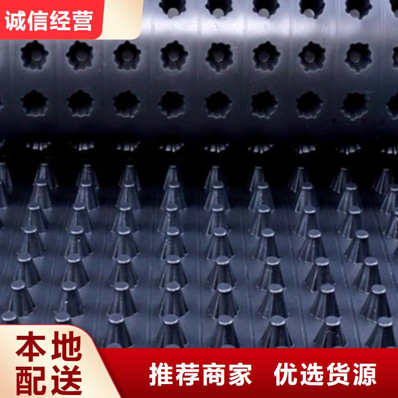 排水板_【三维复合排水网】放心选购