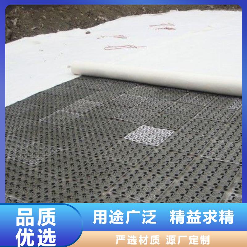 排水板双向塑料土工格栅您想要的我们都有