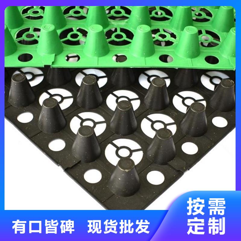 【排水板】-钢塑土工格栅低价货源