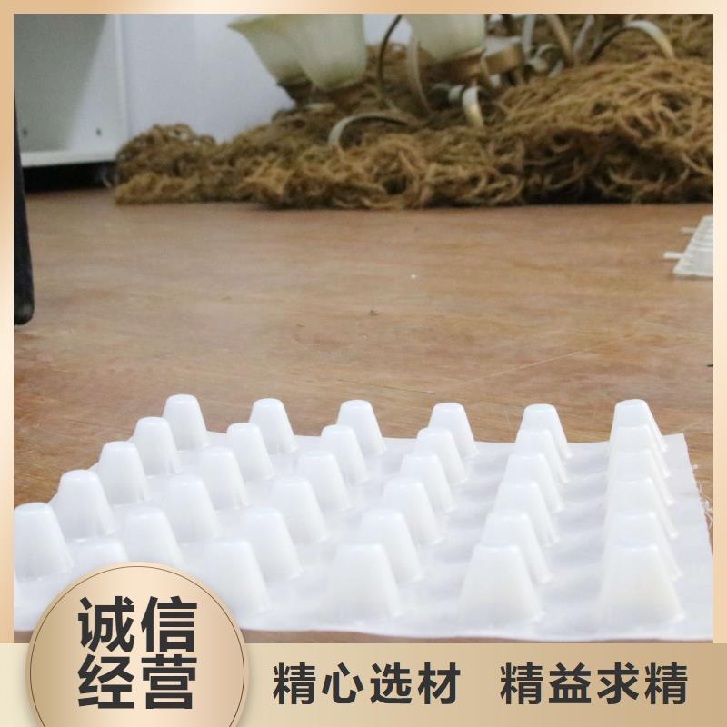排水板【PVC防水卷材】实体厂家支持定制