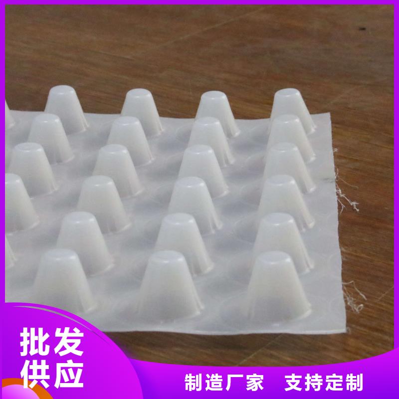 排水板涤纶土工格栅可定制