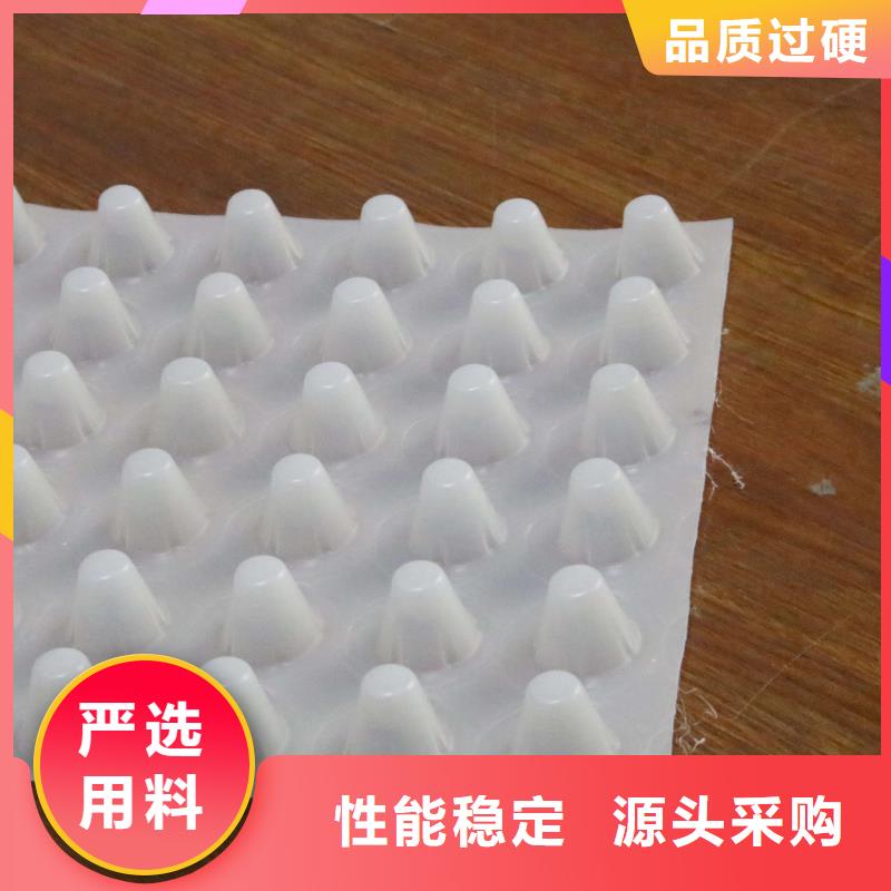 排水板,双向拉伸塑料格栅质量上乘