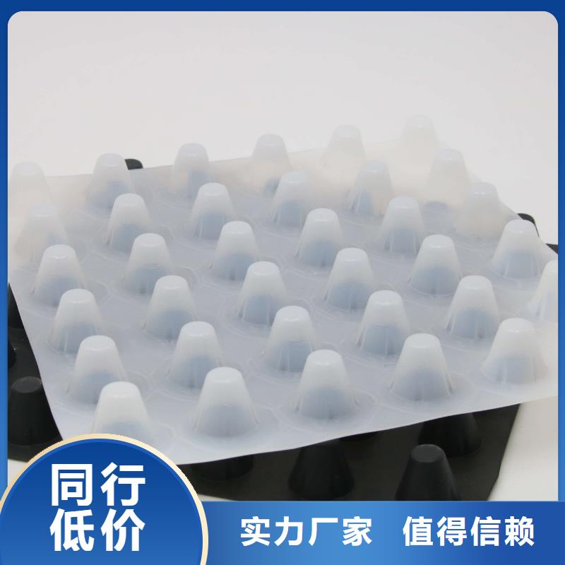排水板【PVC防水卷材】实体厂家支持定制