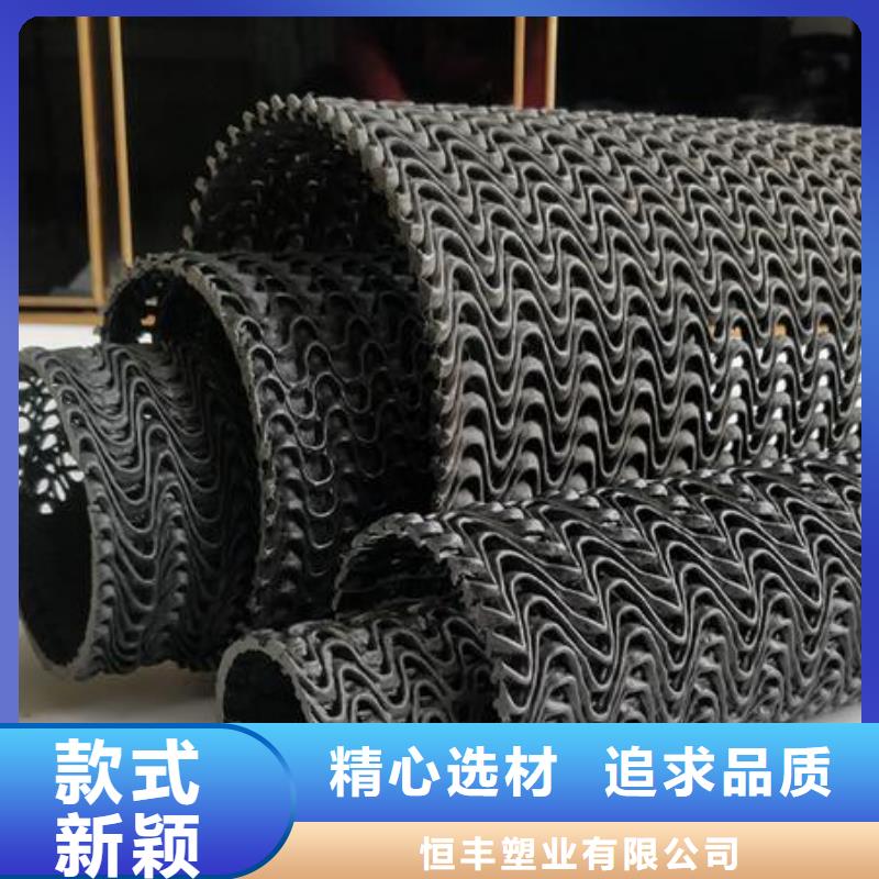 硬式透水管土工席垫厂家精选