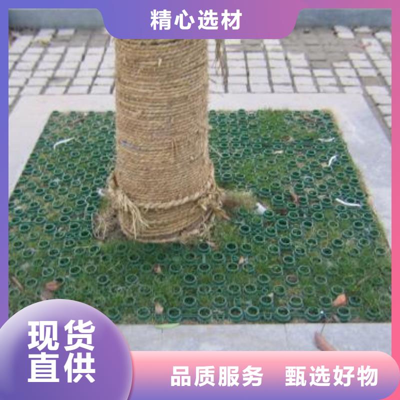 植草格蜂巢格室选择我们没错