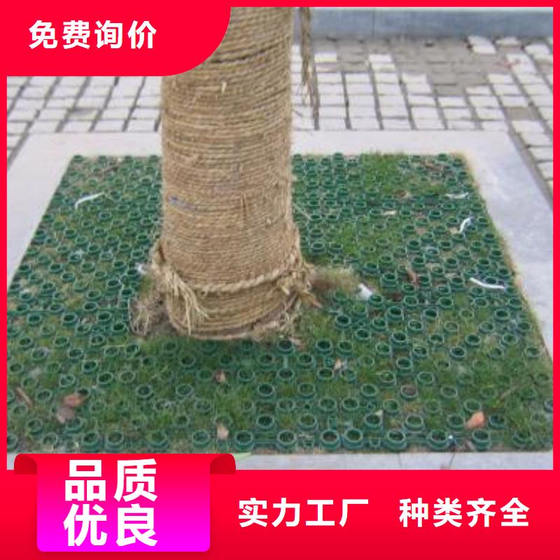 植草格_短丝土工布诚信经营