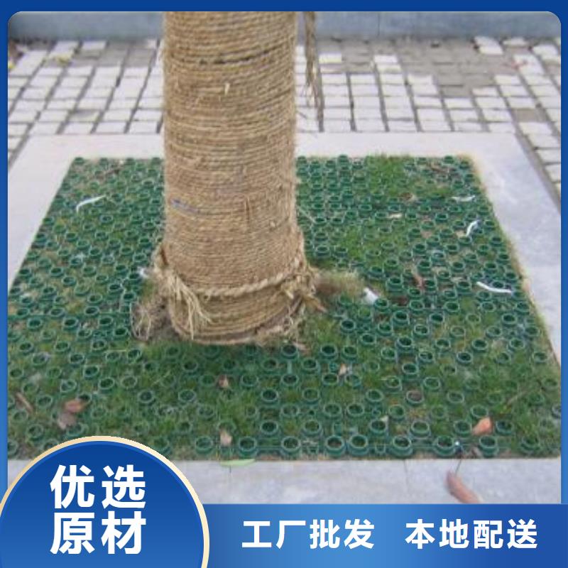 植草格土工格室定制不额外收费
