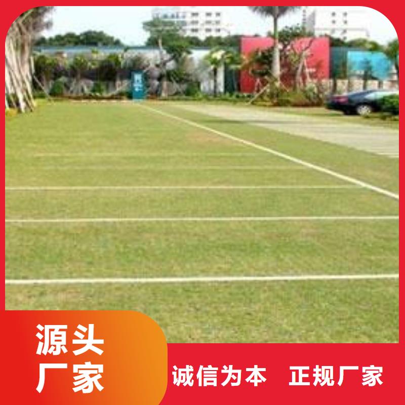 植草格_【三维土工网垫】匠心制造