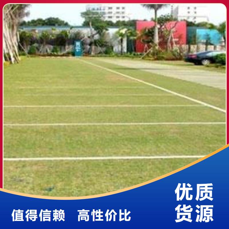 植草格塑料土工滤网专业生产N年