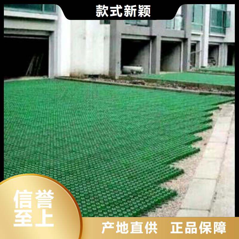 植草格【双向塑料土工格栅】源厂直销