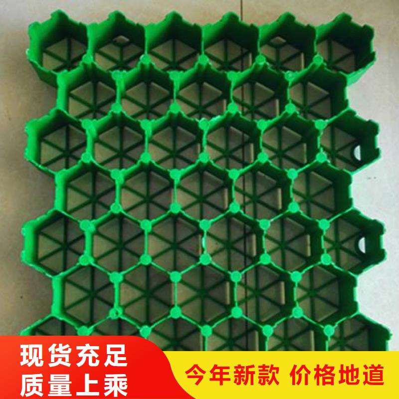 【植草格塑料土工滤网全新升级品质保障】