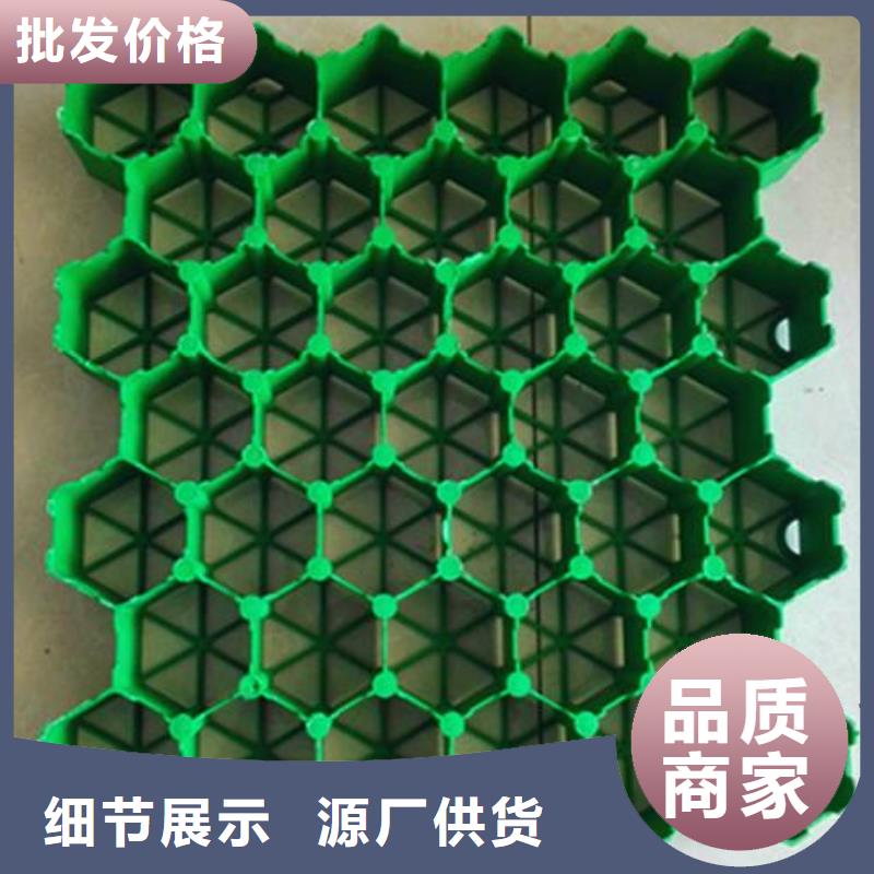 植草格-护坡土工网工程施工案例