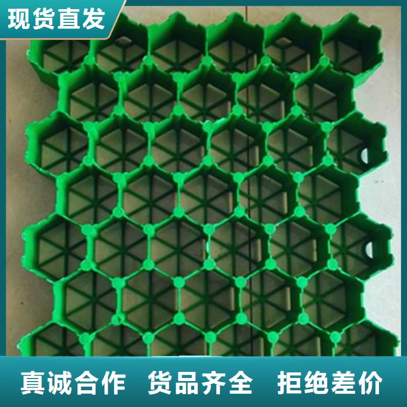 【植草格钢塑土工格栅专注生产N年】