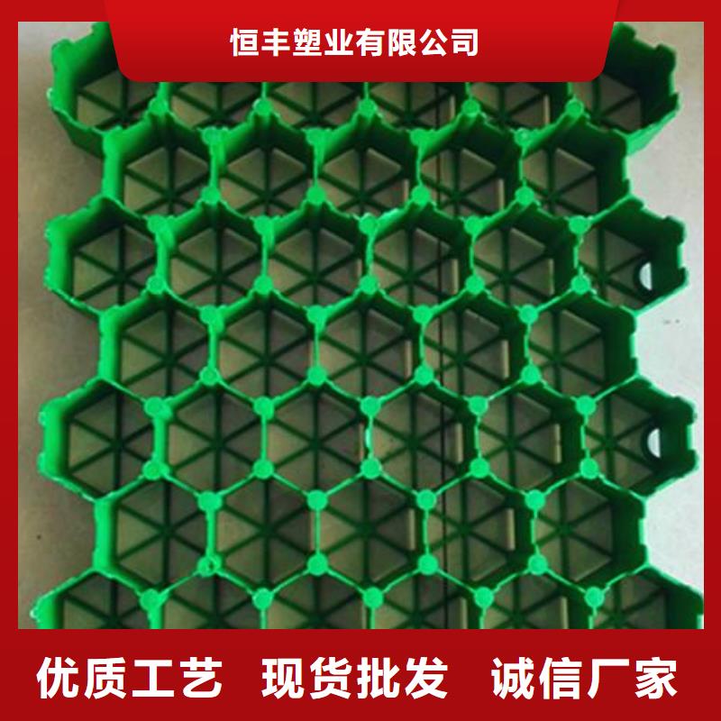 植草格-土工滤网厂家直销供货稳定