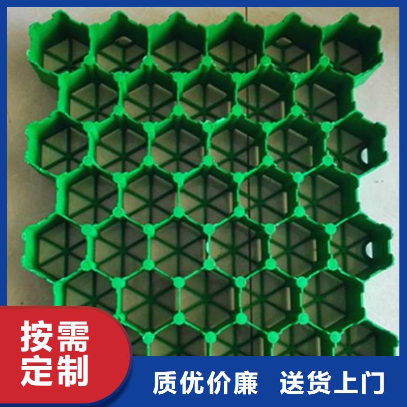 植草格双向塑料土工格栅产品优势特点