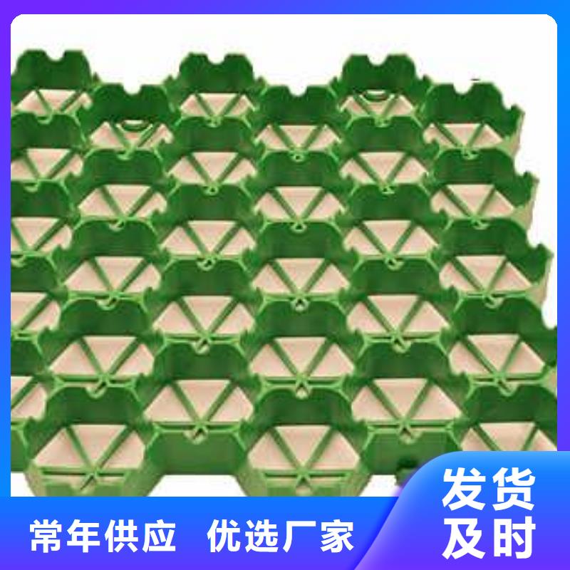 植草格-土工滤网厂家直销供货稳定