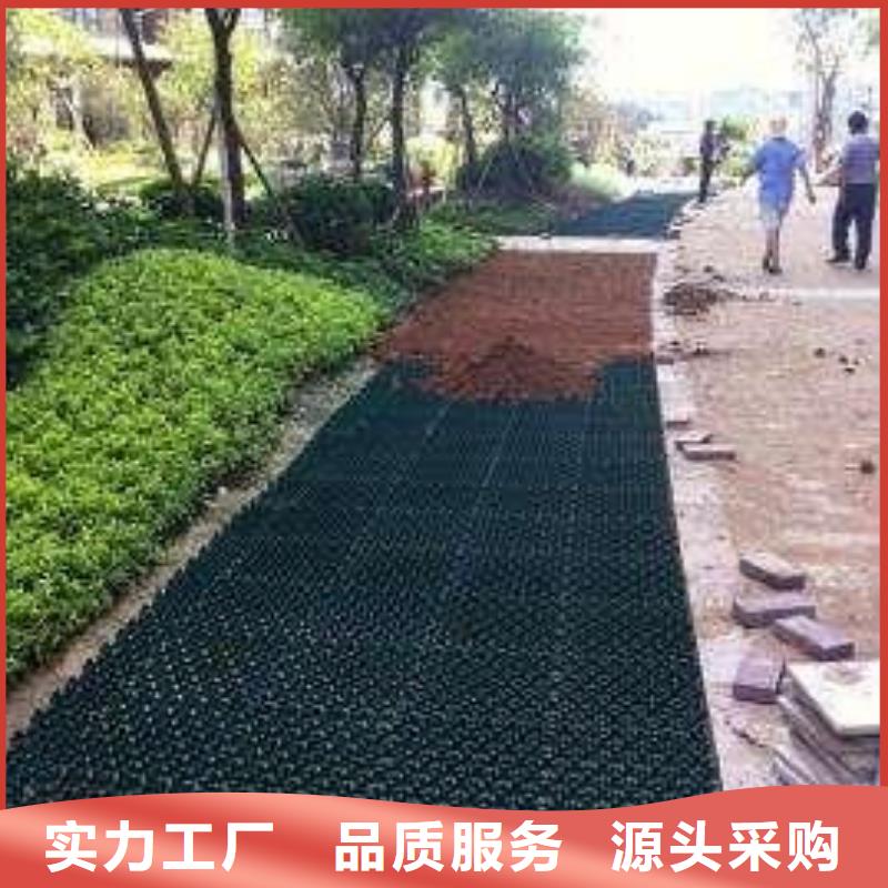 【植草格软式透水管快速发货】