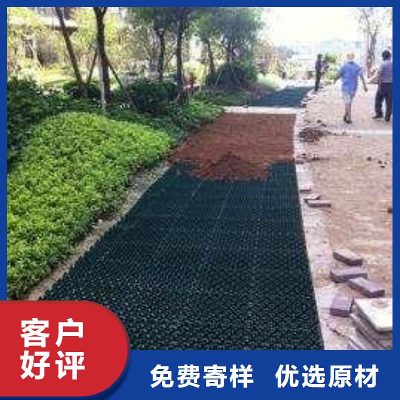 植草格软式透水管采购