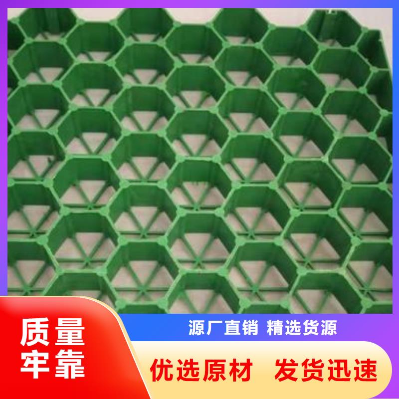 植草格土工HDPE膜海量现货直销
