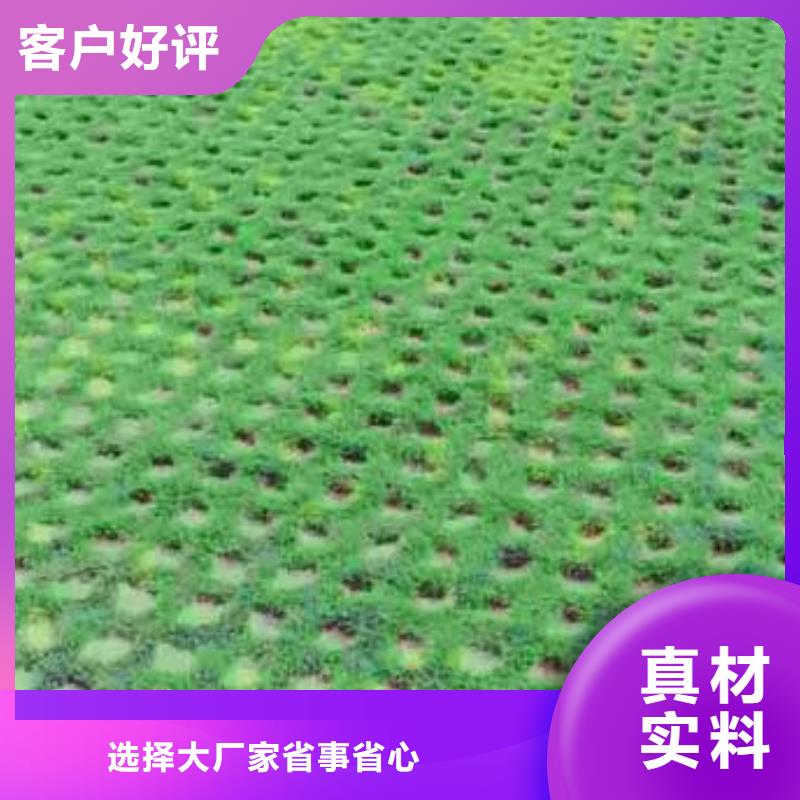 植草格【蜂巢格室】高品质现货销售