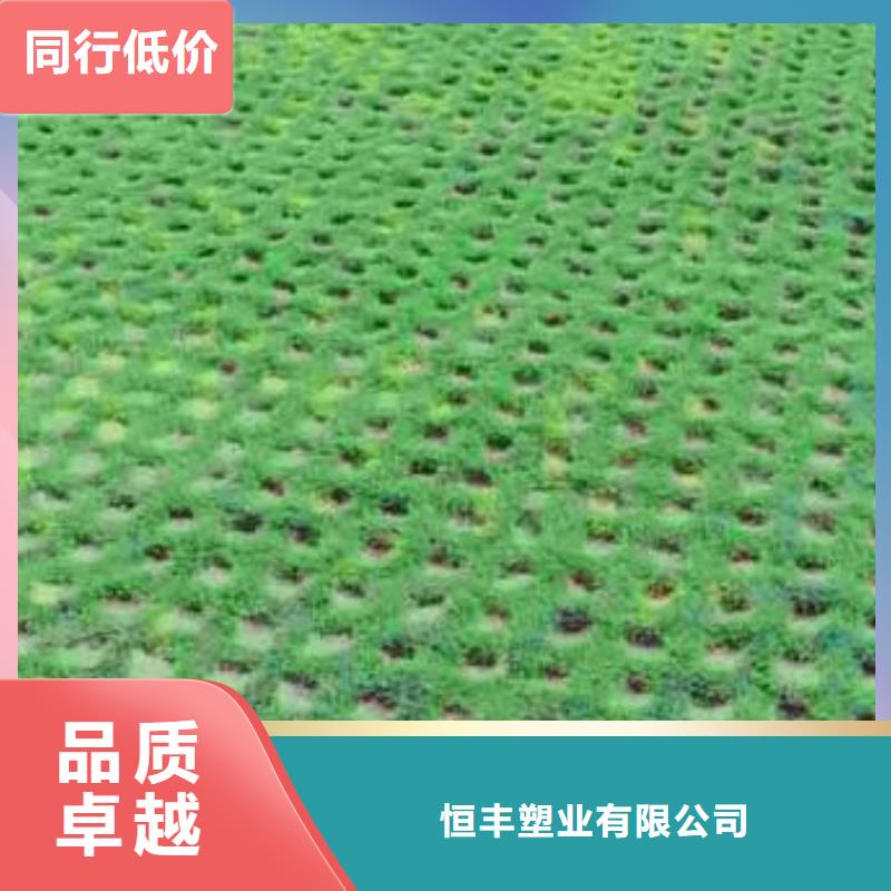 植草格土工格室定制不额外收费