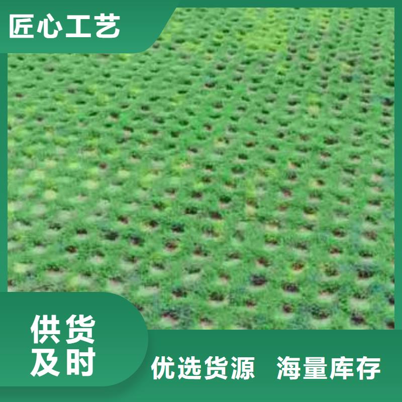 植草格双向塑料土工格栅产品优势特点