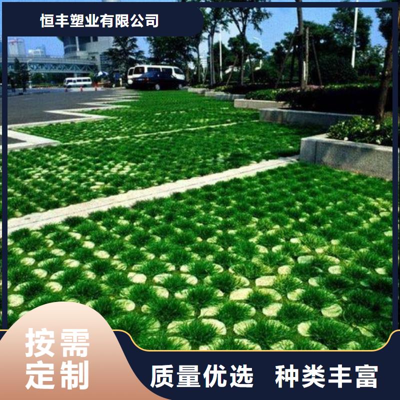 植草格土工格室定制不额外收费