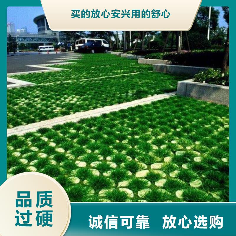 植草格HDPE土工膜一站式采购商家