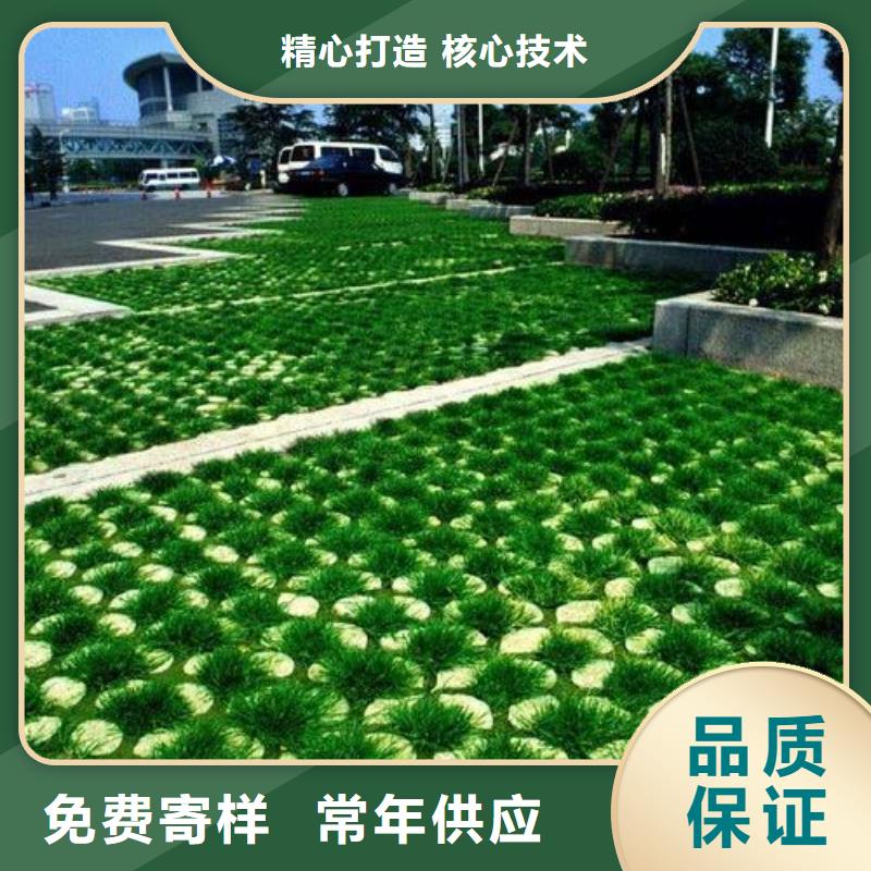 植草格三维土工网垫有口皆碑