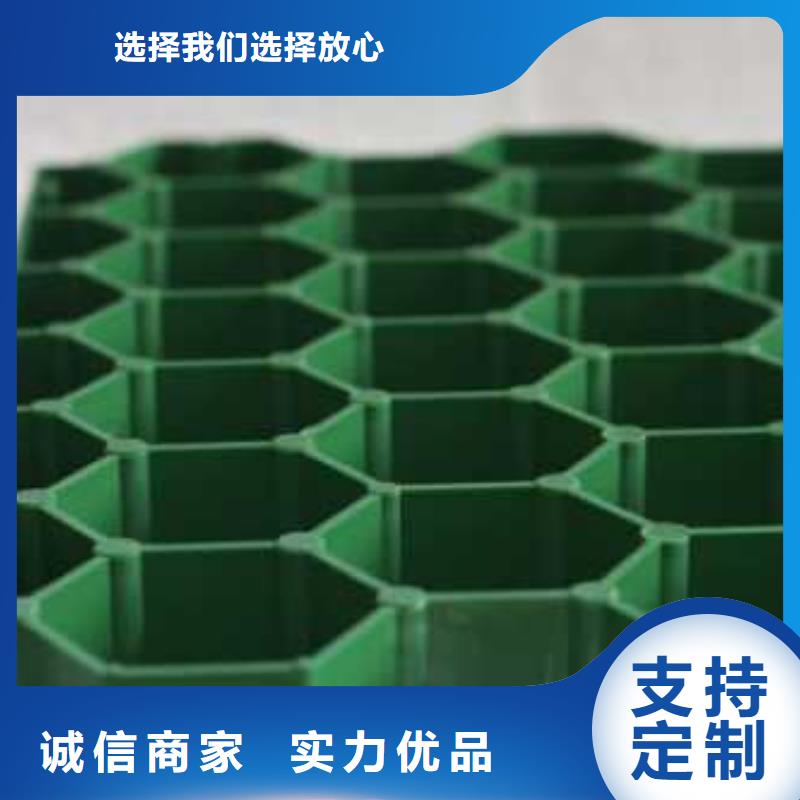 植草格_【三维土工网垫】匠心制造