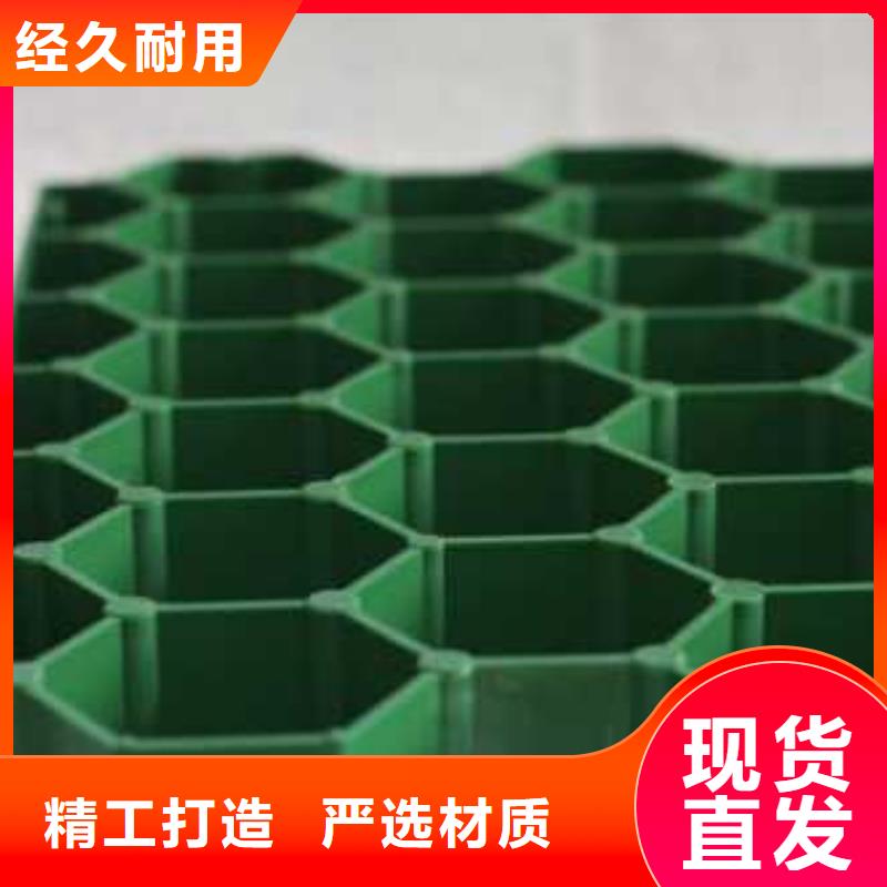 植草格PP焊接土工格栅通过检测