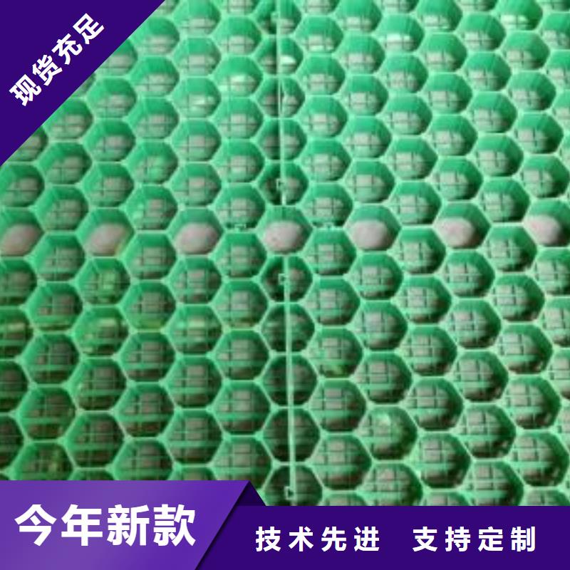 【植草格】蜂巢格室热销产品