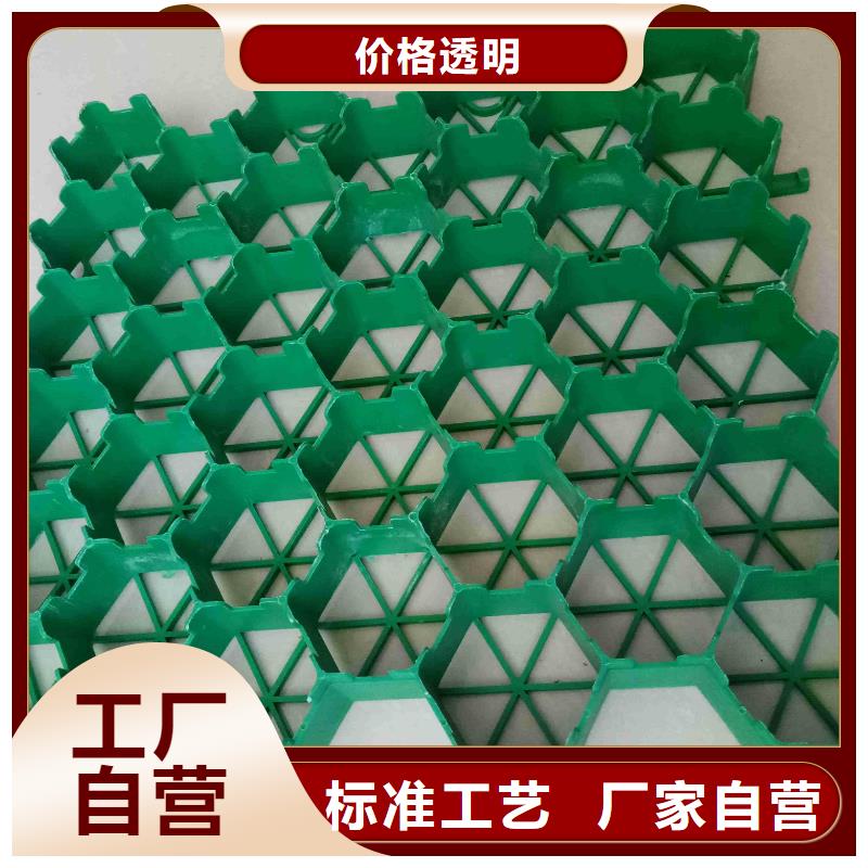 植草格双向塑料土工格栅产品优势特点