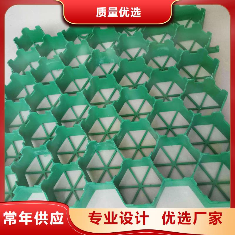 植草格三维土工网垫有口皆碑