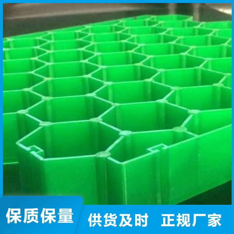 植草格土工格室定制不额外收费