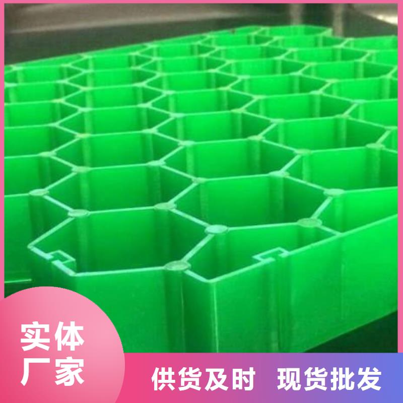 植草格PP焊接土工格栅通过检测