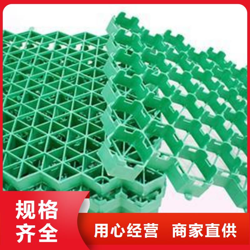 植草格TPO防水卷材拒绝中间商