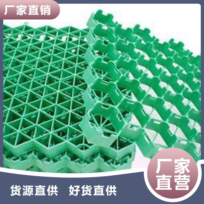 植草格三维土工网垫有口皆碑