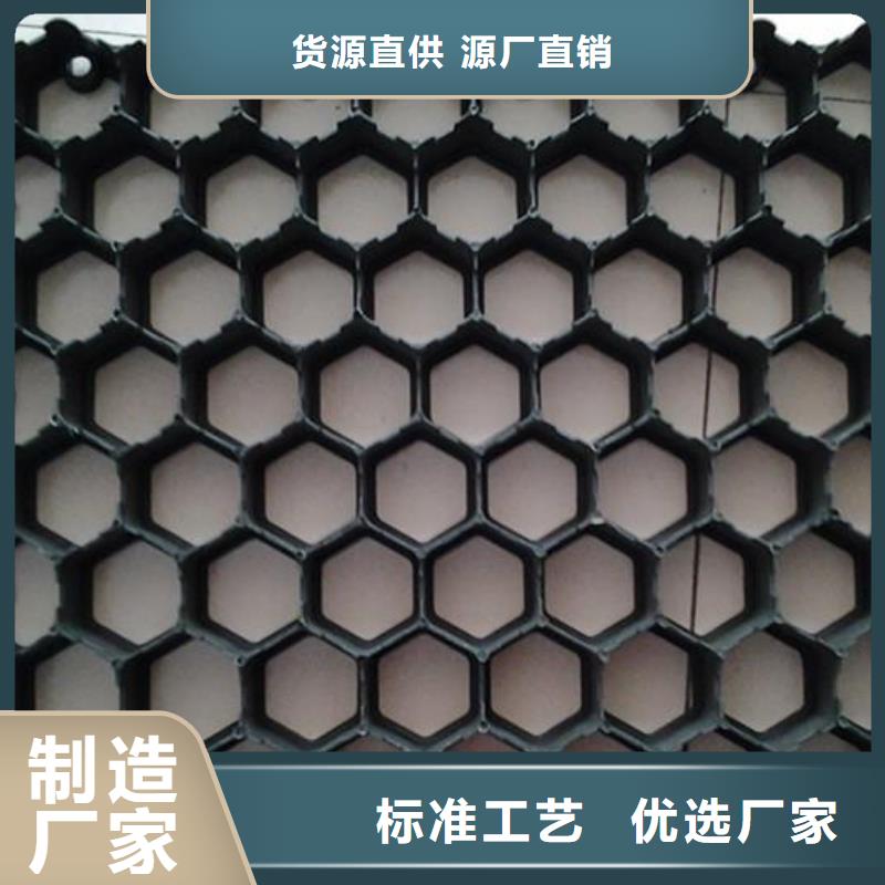 植草格蜂巢格室敢与同行比价格