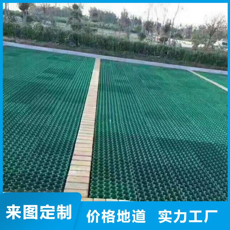 植草格_防渗膜一站式供应