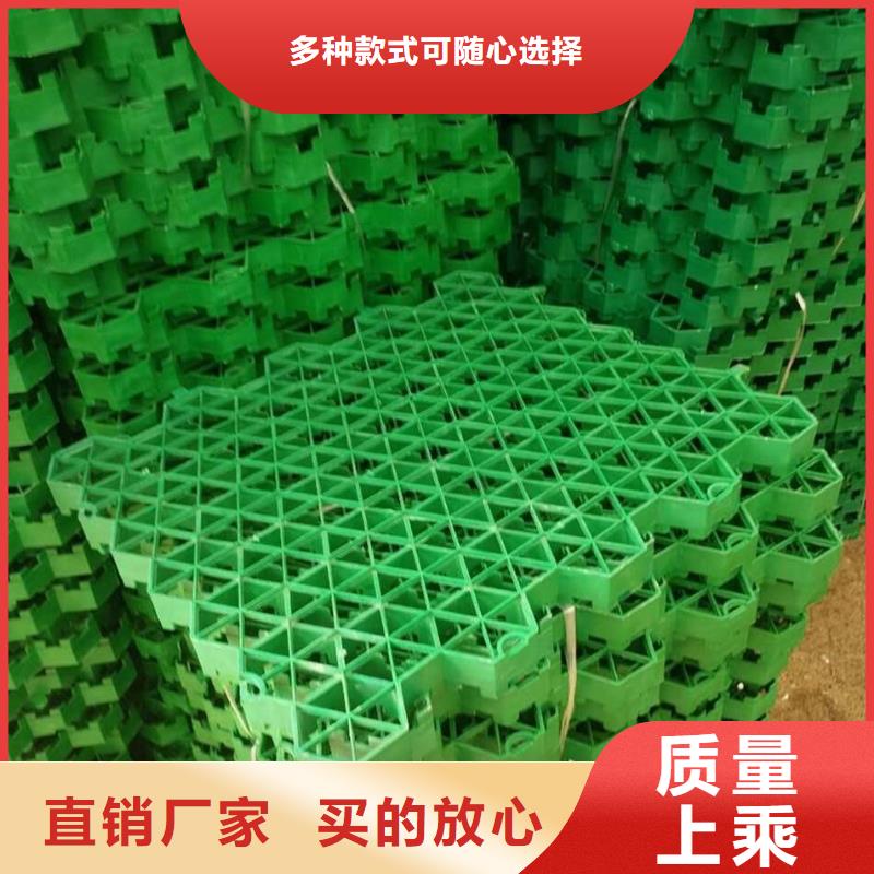 植草格PP焊接土工格栅通过检测