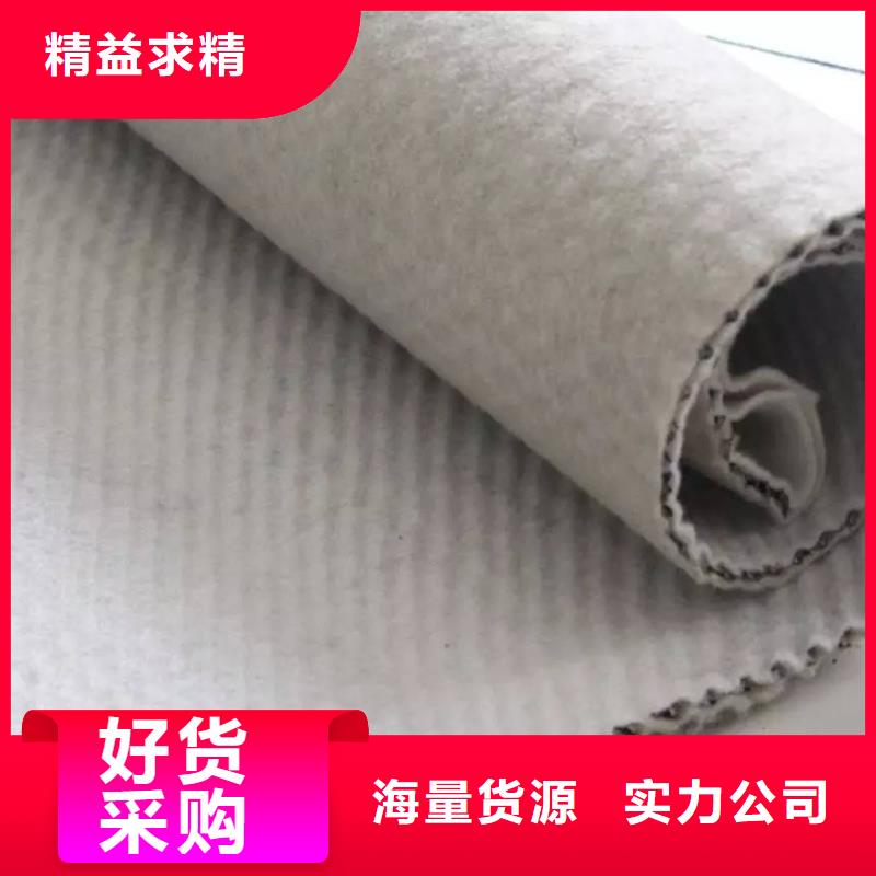 【三维复合排水网】-防渗复合土工膜当地厂家值得信赖