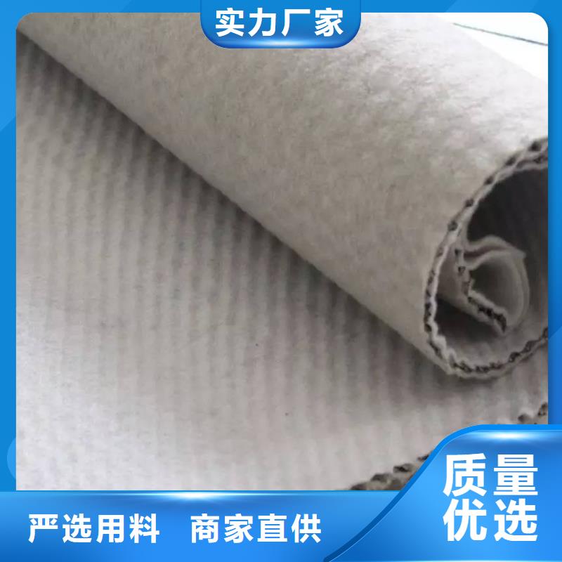 三维复合排水网土工布本地配送