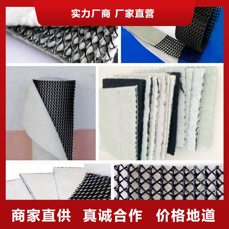 三维复合排水网【土工HDPE膜】产地源头好货