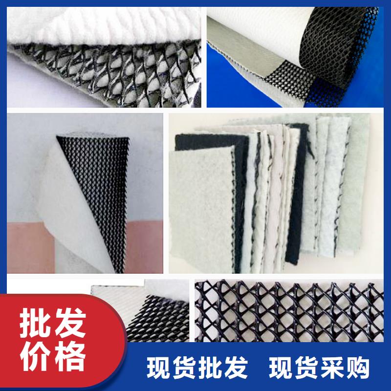 三维复合排水网PP焊接土工格栅型号齐全