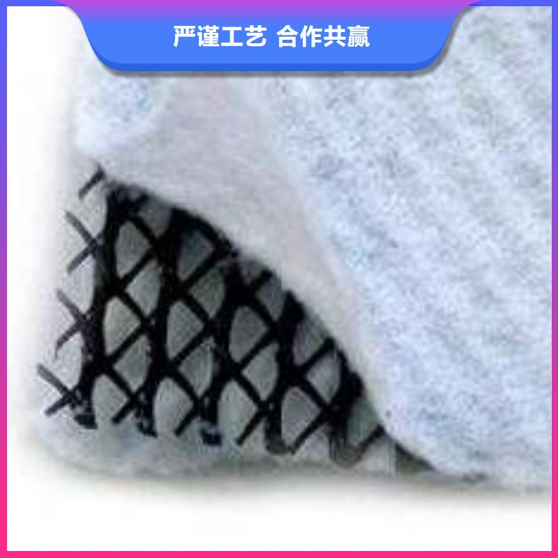 三维复合排水网PP焊接土工格栅型号齐全